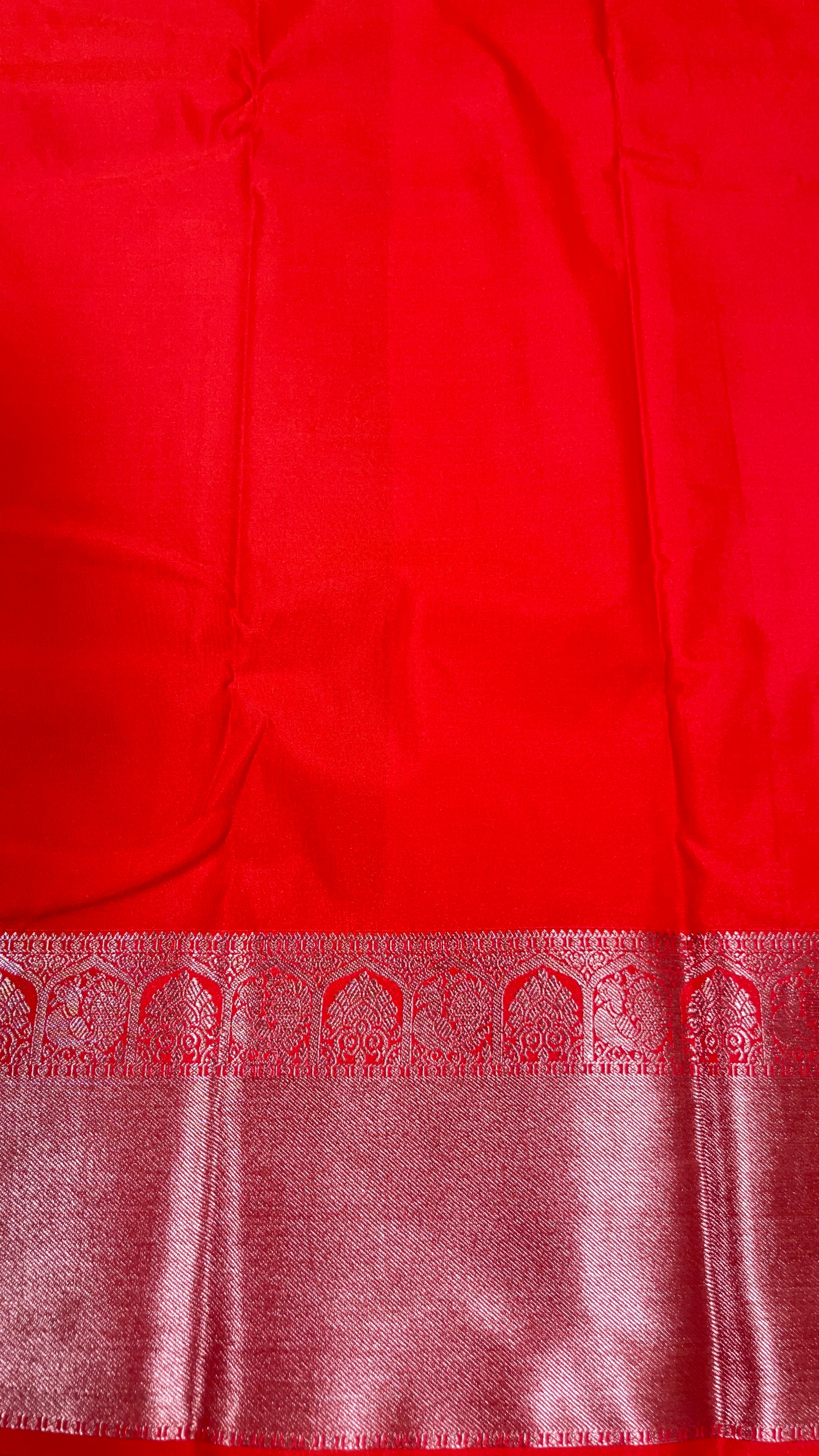 Saumyaa – The Radiant Elegance
